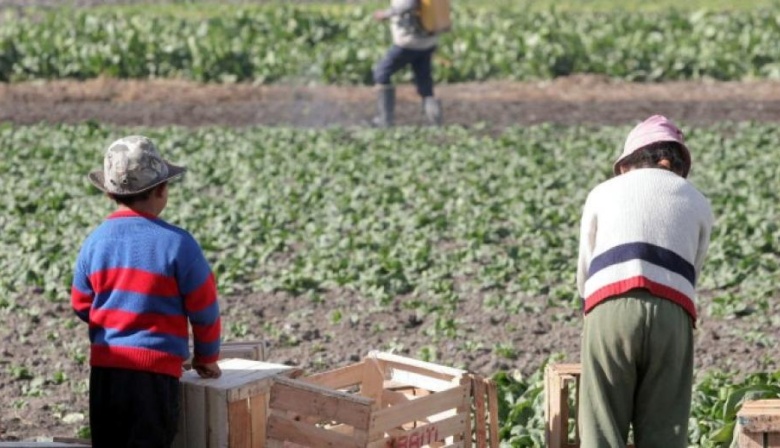 Santa Fe y la OIT delinearon acciones conjuntas para la erradicación del trabajo infantil