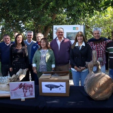 Villa Gobernador Galvez recuperó los restos fósiles de una ballena encontrados en el río Paraná