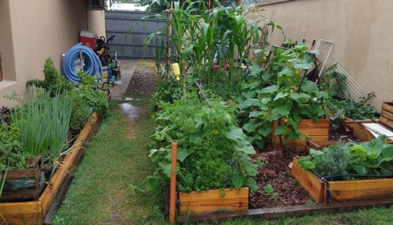 Abren inscripción a curso de Huerta Orgánica y Compost