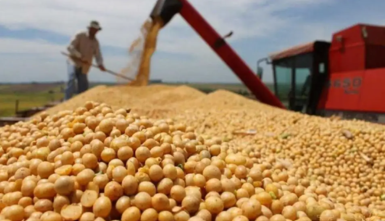 Productores exigen a Milei la baja inmediata y definitiva de las retenciones