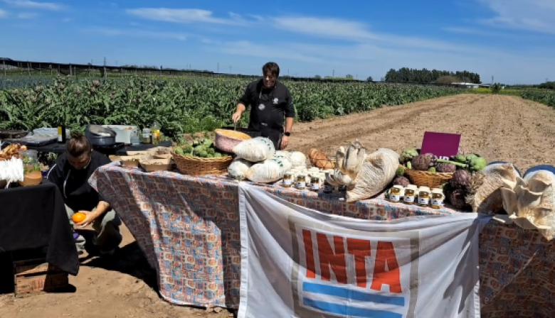 En la antesala de la ExpHortar se realizó una degustación de alcauciles a campo abierto