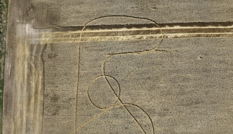 Aparecieron misteriosas marcas en dos campos santafesinos