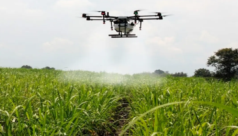 Prohíben fumigar con drones en Entre Ríos tras denuncia por “daño genotóxico” a niña