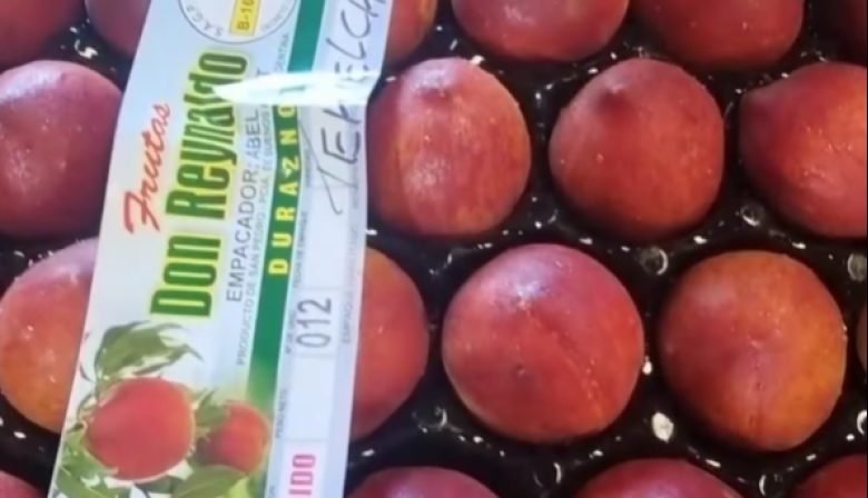 Salen a la venta los primeros duraznos Tehuelche INTA producidos en San Pedro