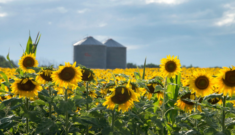 Se oficializó la reducción en las retenciones al campo