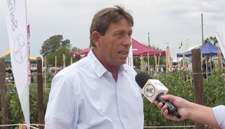 Cómo el ingreso de alimentos importados está afectando la producción hortícola local