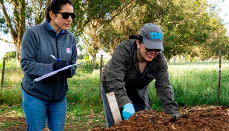 Investigadores de INTA detectan elementos potencialmente tóxicos en compost de cama de pollo