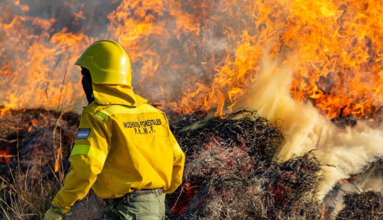Riesgo "extremo" por incendios forestales en nuestra región
