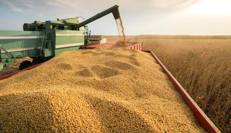 Proyectan cosecha récord de 154,8 millones de toneladas para la campaña 2025/26