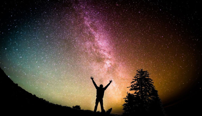 Crónica de una Metamorfosis: El cielo del 1 al 8 de febrero