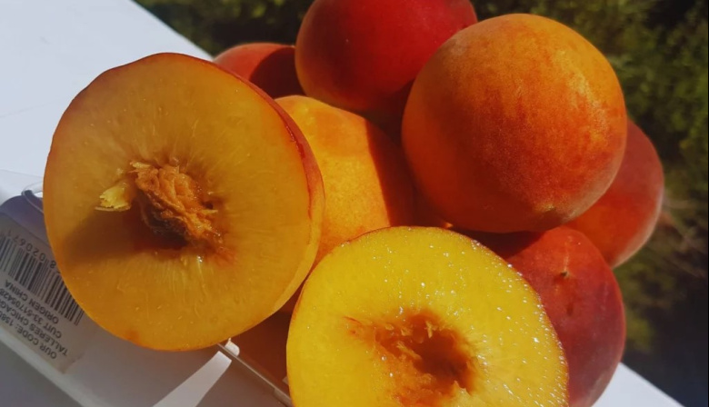 Las nuevas variedades de durazno producidas en San Pedro llegaron al mercado