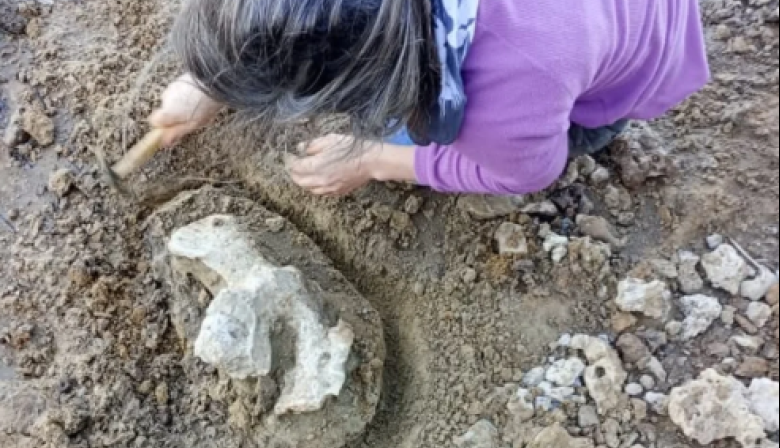 Rescatan restos fósiles de diez mil años de años de antigüedad en el Paraná