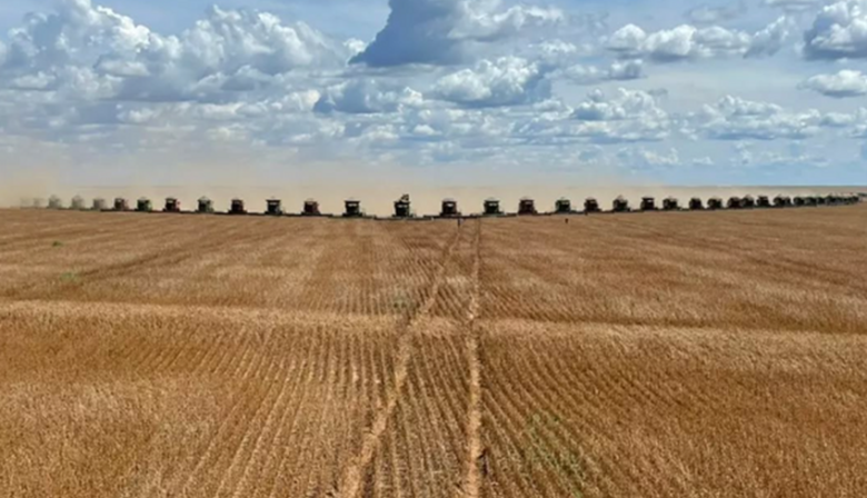 Cosecha récord: 90 cosechadoras levantaron la soja en un lote de Brasil