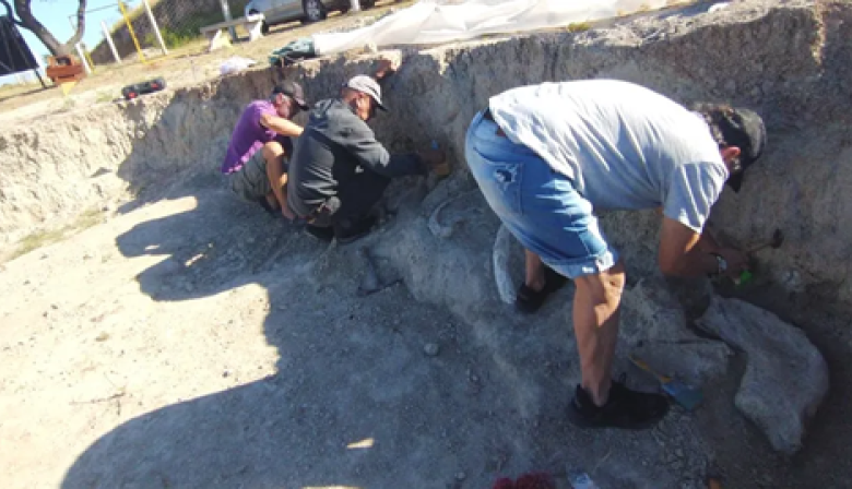 Hallan en San Pedro los restos de un mamífero que vivió hace 200 mil años