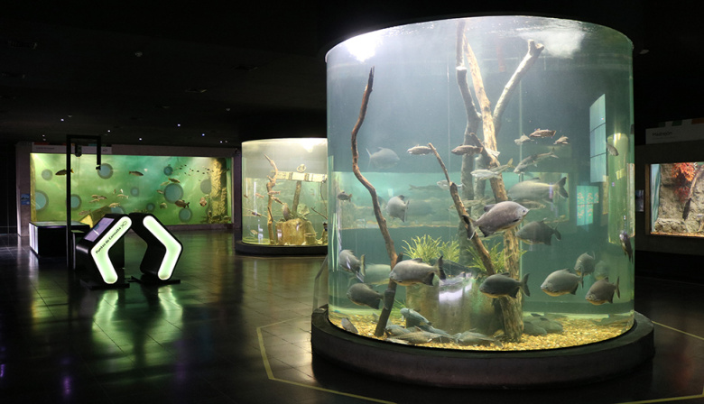 El Acuario del Río Paraná abre la convocatoria 2026 para visitas educativas