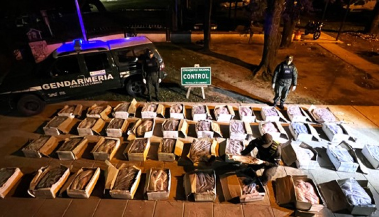 Detectaron un camión que transportaba una tonelada de sábalos sin cadena de frío