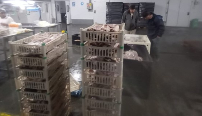 Detectaron irregularidades en frigoríficos pesqueros de Arroyo Seco y Coronda
