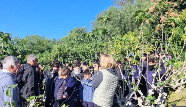Alumnos de 6° grado de la Escuela Santa Lucía visitaron una finca orgánica
