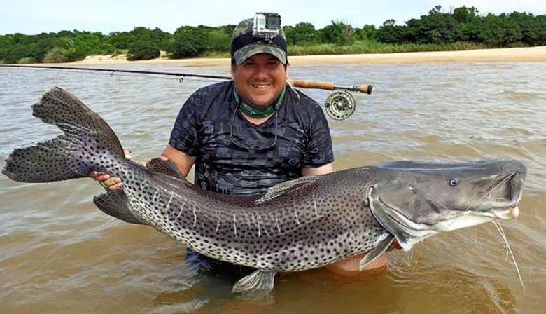 Prohibieron la pesca en el Paraná para proteger cardúmenes de surubí