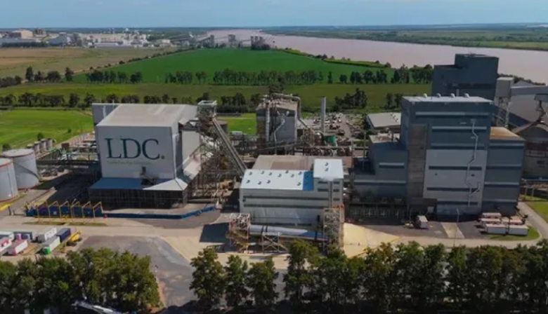 Dreyfus anunció que construirá una planta de molienda de soja y girasol en Bahía Blanca