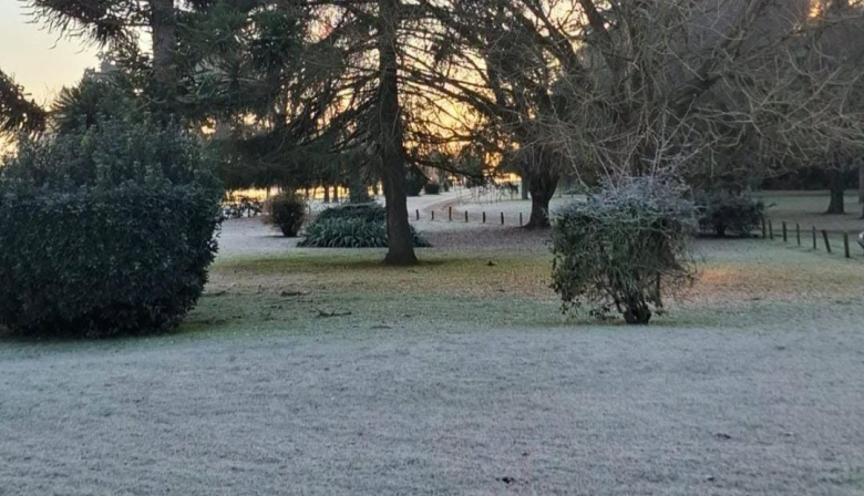 Siguen las heladas: La región registró -3° durante la mañana