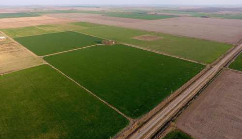 Ley de Tierras: cómo regulan Brasil, Uruguay y Paraguay la compra de campos por extranjeros