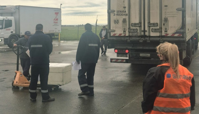 Swift importó panceta de Brasil a través del aeropuerto de Rosario