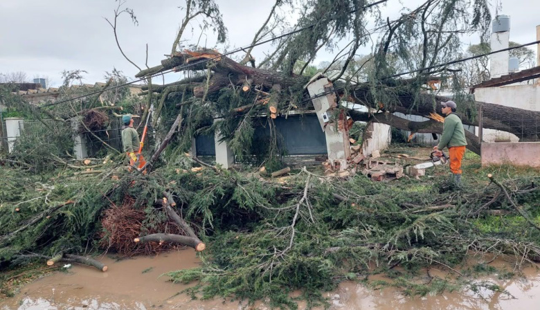 Provincia asiste a las localidades de Las Rosas y San Genaro tras el temporal