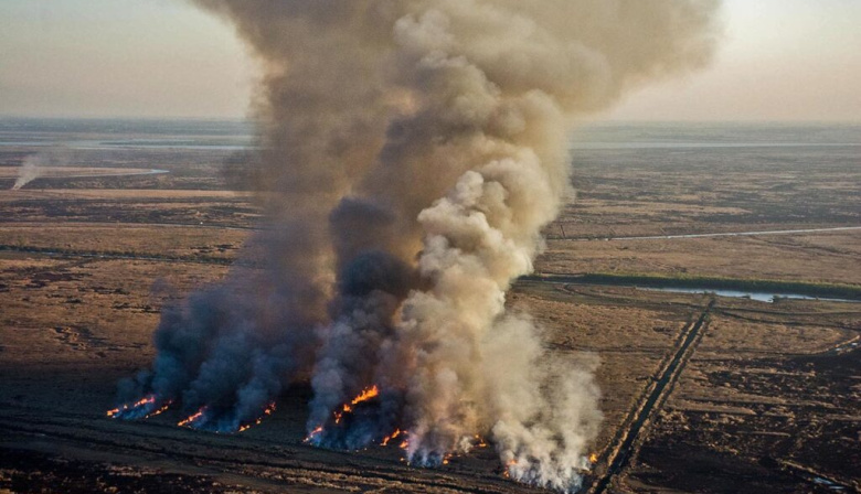 Zona de islas: Detectaron focos de fuego a la altura de Arroyo Seco y San Lorenzo