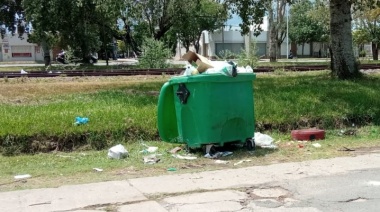 El ciclo de la basura o la basura cíclica