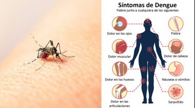 Casi 17.000 casos confirmados de dengue en lo que va del año