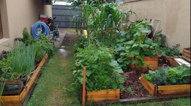 Dictarán un curso sobre Huerta Orgánica Domiciliaria en el vivero municipal