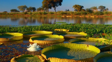 Reabre al público el Parque Nacional Pre-Delta