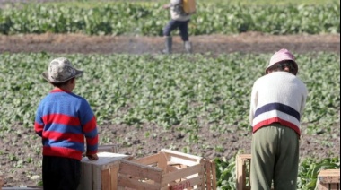 Santa Fe y la OIT delinearon acciones conjuntas para la erradicación del trabajo infantil