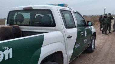 Llevaban vacunos vivos y faenados dentro de una camioneta que abandonaron en Theobald