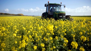 La agroindustria aceitera y el INTA impulsan el desarrollo de “cultivos bioenergéticos”