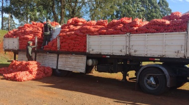 Inspeccionaban un camión que trasladaba cebollas y detectaron 28 toneladas de cobre