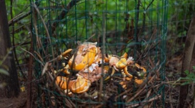 La municipalidad capacitará sobre Elaboración de Compost Domiciliario