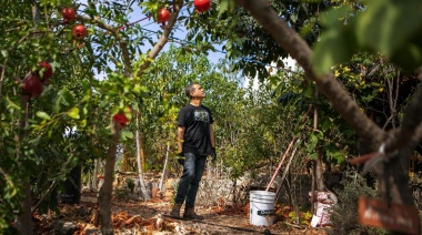 Inscriben para participar del curso sobre “Cuidado, Poda y Cultivo de plantas frutales