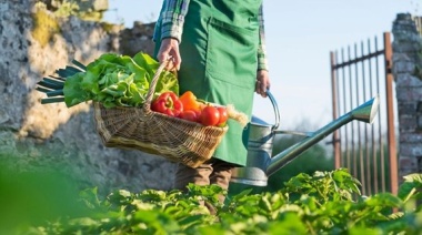 Huerta en casa: qué se puede sembrar en octubre?