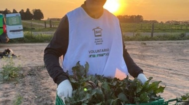 Más frutas y verduras rescatadas por el Banco de Alimentos