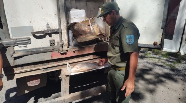 Decomisan 1.300 kilos de pescado por incumplir normas de veda y seguridad alimentaria