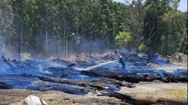 Brigadistas lograron controlar voraz incendio en Capitán Bermúdez