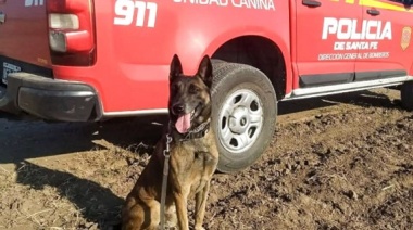 Murió Baloo, el perro rescatista héroe de los santafesinos