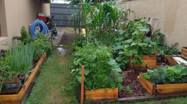 Abren inscripción a curso de Huerta Orgánica y Compost