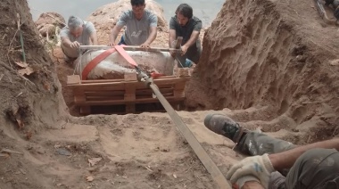 El Museo presente en la extracción del cráneo de mastodonte encontrado en Fighiera