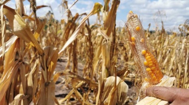 Advierten el regreso de "La Niña": En qué zonas impactará