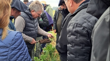 Productores e ingenieros agrónomos brasileros visitaron el INTA Oliveros