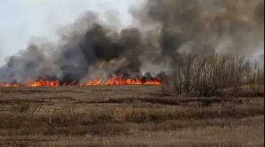 Tres apicultores de Villa Constitución irán a la cárcel por provocar un incendio en las islas