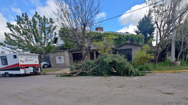 No se registraron graves daños por el temporal